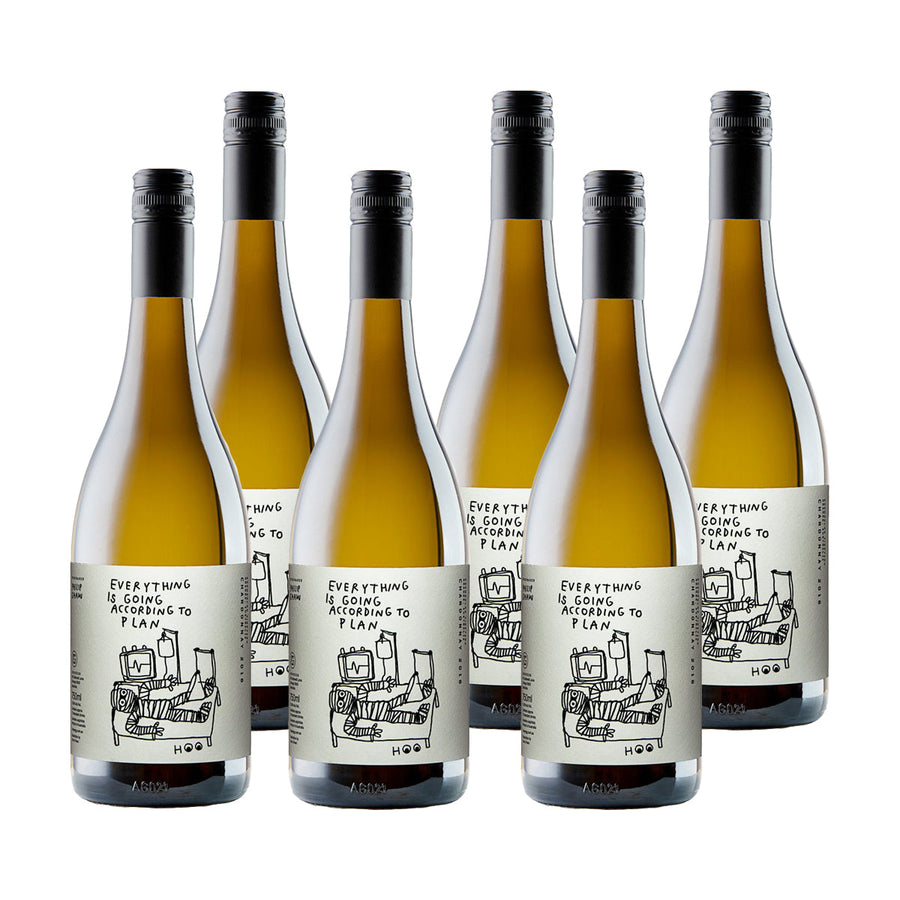 2019 Everything Is Going According To Plan Chardonnay 6 pack - FIRST RELEASE